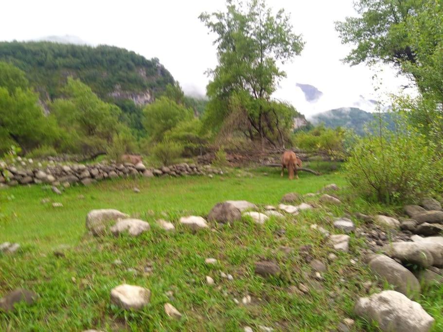 Ferienwohnung Atico En Pleno Pirineo El Pueyo de Jaca Exterior foto