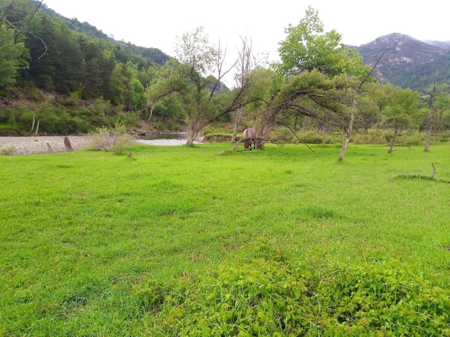 Ferienwohnung Atico En Pleno Pirineo El Pueyo de Jaca Exterior foto
